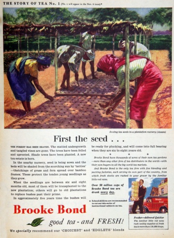 Brooke Bond and Co - Graces Guide