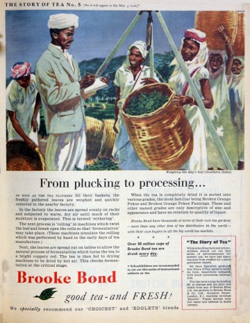 Brooke Bond and Co - Graces Guide
